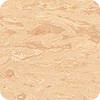 blossom-8900