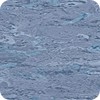 larkspur-8350