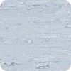 wild-lilac-8650